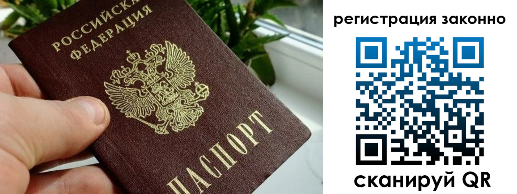 прописка гарантия в Шебекино